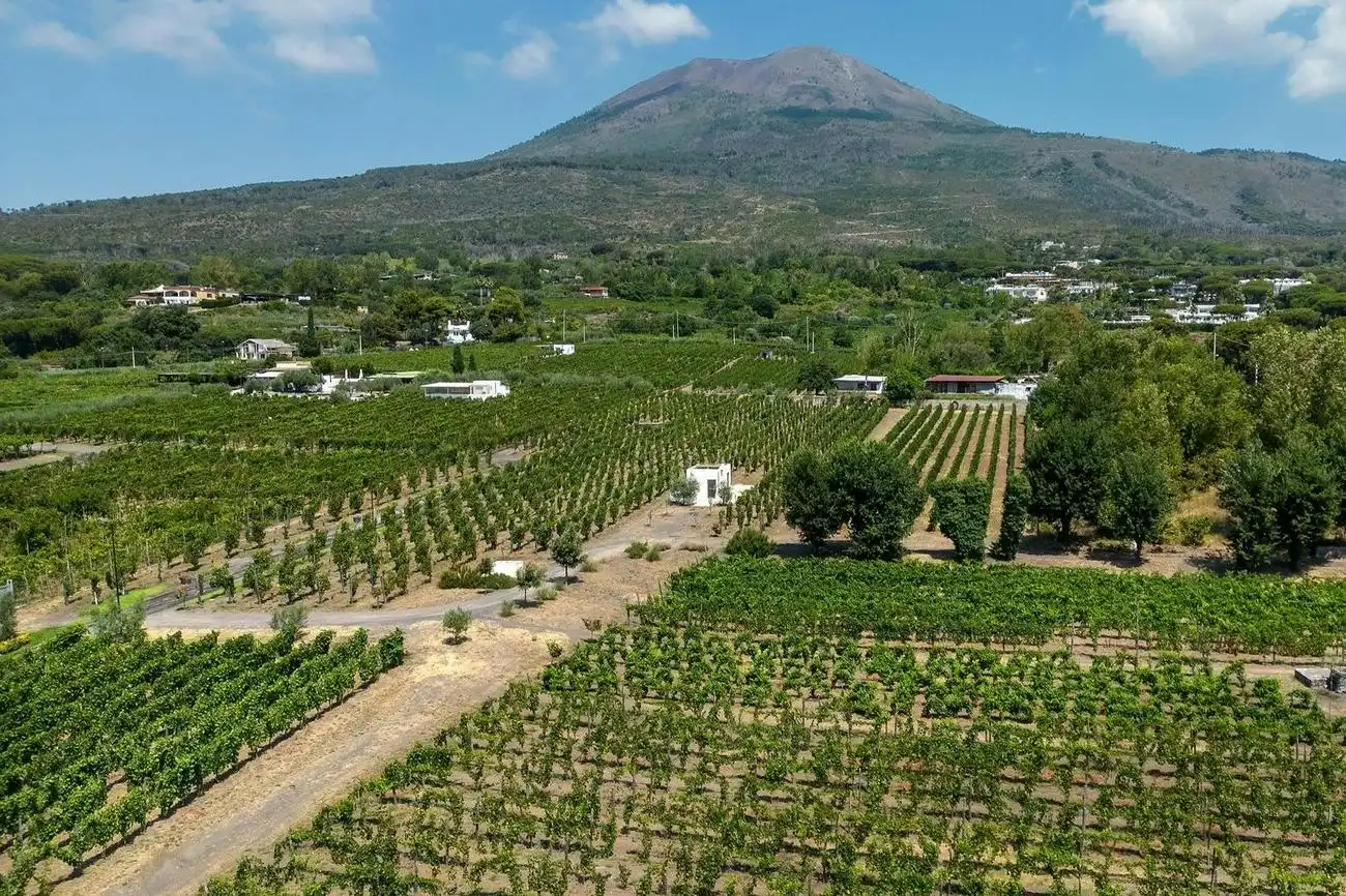 Vesuv: Tour durch die Weinberge + Weinverkostung und Mittagessen, Neapel, Italien. Vesuv: Tour durch die Weinberge + Weinverkostung und Mittagessen, Neapel, Italien.