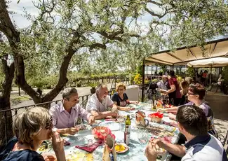 Der Vesuv: Weinverkostung in einem Weinberg von Neapel, Neapel, Italien. Der Vesuv: Weinverkostung in einem Weinberg von Neapel, Neapel, Italien.