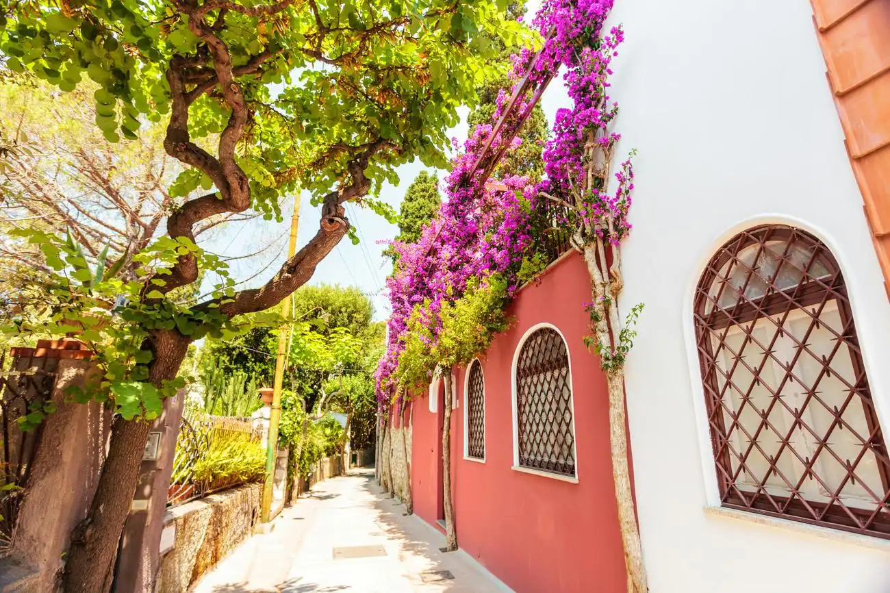Inseltour Capri ab Sorrent, Capri, Italien. Inseltour Capri ab Sorrent, Capri, Italien.