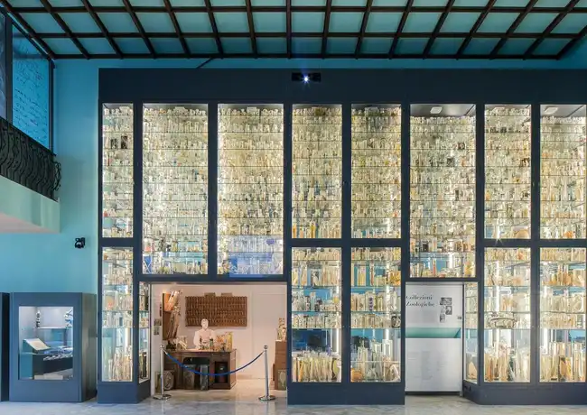 Museum Darwin-Dohrn, Neapel, Italien. Museum Darwin-Dohrn, Neapel, Italien.