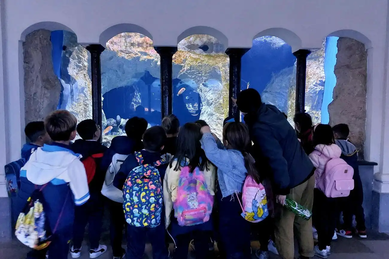 Aquarium von Neapel: Eintrittskarte, Neapel, Italien. Aquarium von Neapel: Eintrittskarte, Neapel, Italien.
