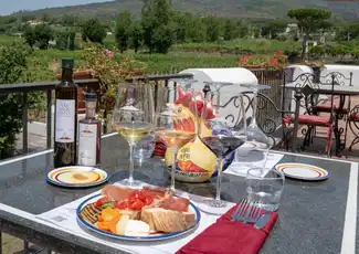 Vesuv: Tour durch die Weinberge + Weinverkostung und Mittagessen, Neapel, Italien. Vesuv: Tour durch die Weinberge + Weinverkostung und Mittagessen, Neapel, Italien.