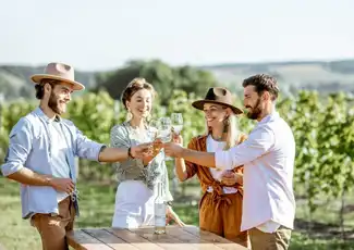 Vesuvius: Vineyard Tour + Wine Tasting + Lunch Ticket, Naples, Italy.