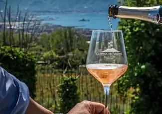 Vesuv: Tour durch die Weinberge + Weinverkostung und Mittagessen, Neapel, Italien. Vesuv: Tour durch die Weinberge + Weinverkostung und Mittagessen, Neapel, Italien.