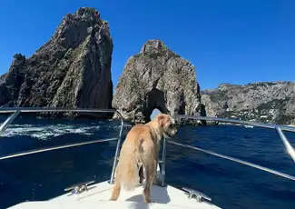 Insel Capri: Tagesausflug von Neapel + Boat Tour, Neapel, Italien. Insel Capri: Tagesausflug von Neapel + Boat Tour, Neapel, Italien.