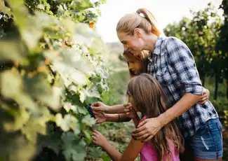 Vesuvius: Vineyard Tour + Wine Tasting + Lunch Ticket, Naples, Italy.
