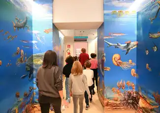 Museum Darwin-Dohrn, Neapel, Italien. Museum Darwin-Dohrn, Neapel, Italien.
